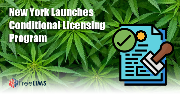 Adult-Use Cannabis Conditional Licensing Program Launched