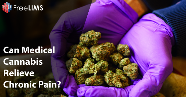 Medical Cannabis Can Reduce Chronic Pain