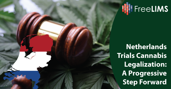 Netherlands Cannabis Legalization Trial Aims to Curb Crime and Ensure Quality Products