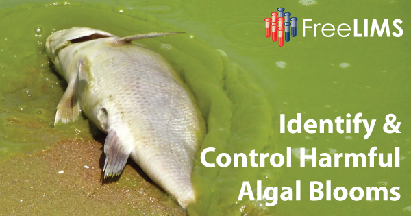 Water LIMS A Key Tool in the Fight Against Harmful Algal Blooms
